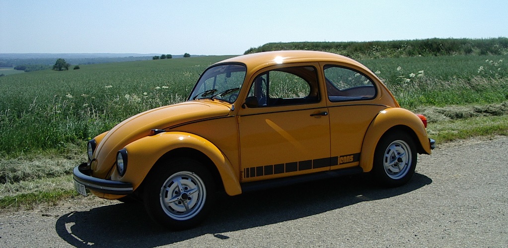 Jeans Beetle