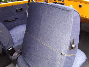 Sellerie 12