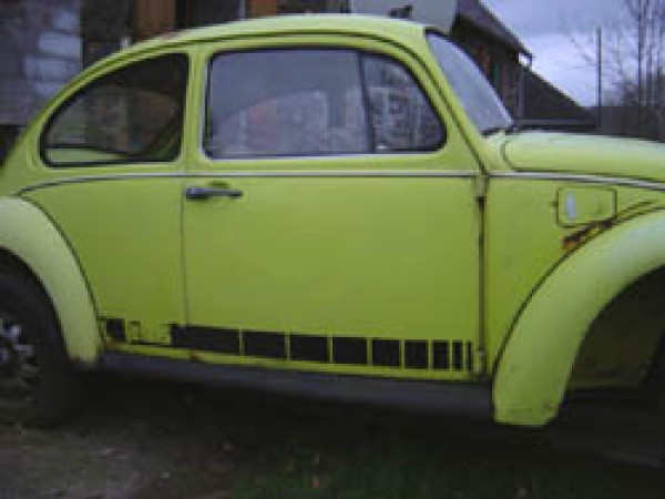 Photo Jeans Beetle