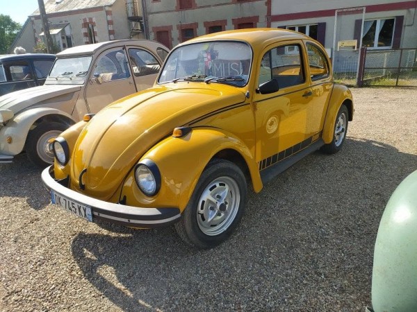 Photo Jeans Beetle