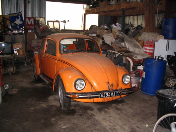 Photo Jeans Beetle