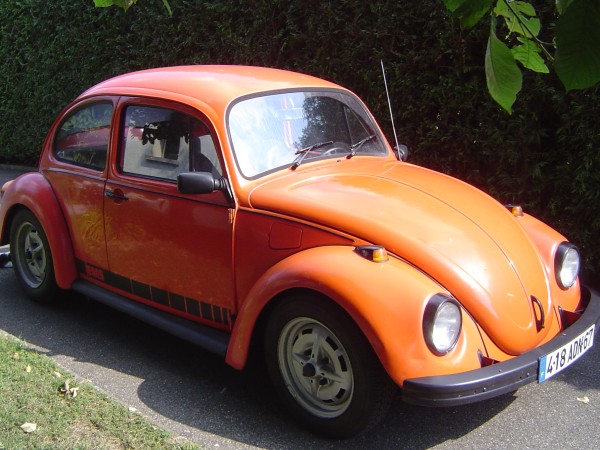 Photo Jeans Beetle