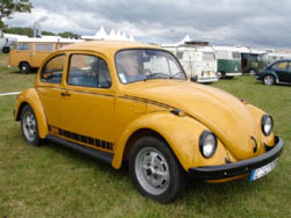 Photo Jeans Beetle