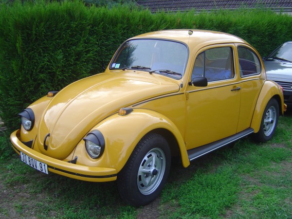 Photo Jeans Beetle